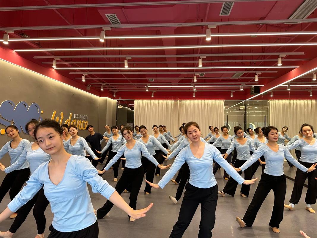 北京高中舞蹈艺考培训哪家好?-图3 北京高中舞蹈艺考培训哪家好?-图3