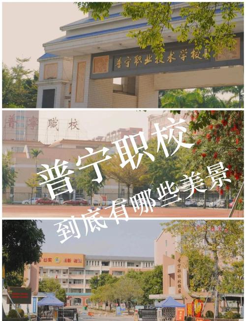 高中与职校，如何选才更适合未来？-图1