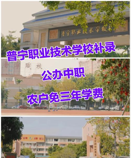 高中与职校，如何选才更适合未来？-图2