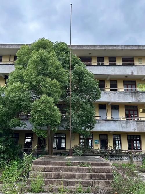 康福国际高中为何被称烂学校?-图2 康福国际高中为何被称烂学校?-图2