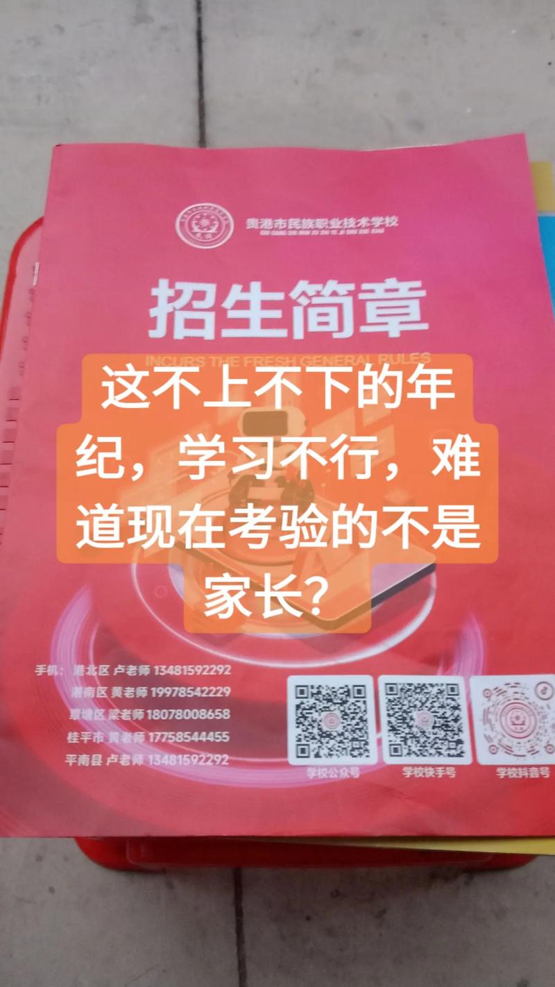 2025初中毕业，出路该怎么选？-图1