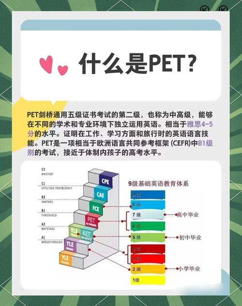 高中毕业能考PET吗？-图1
