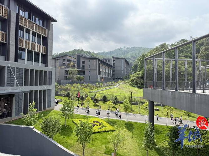 广州白云艺术高中怎么样？-图3