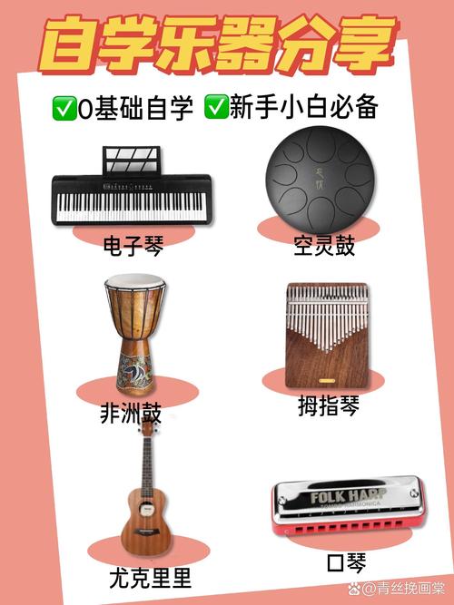 高中学声乐该学哪种乐器?-图2 高中学声乐该学哪种乐器?-图2