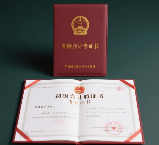 会计初级高中学历作假如何监管？-图1