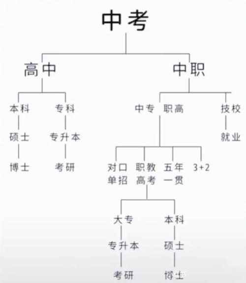初中毕业，未来路该怎么选？-图1