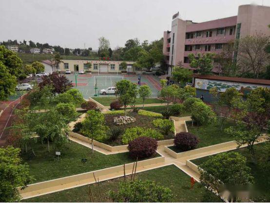 安岳幼师学校具体在哪个位置？-图2