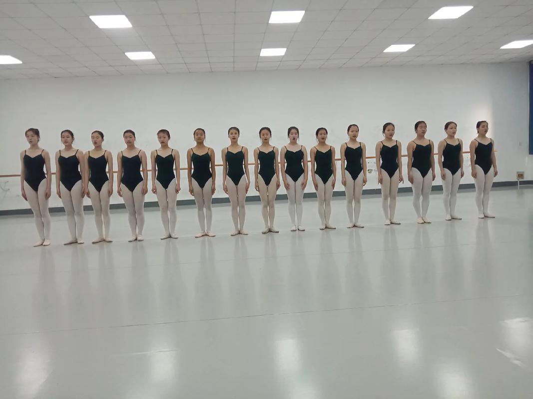 石家庄高中艺考摄影怎么备考?-图3 石家庄高中艺考摄影怎么备考?-图3