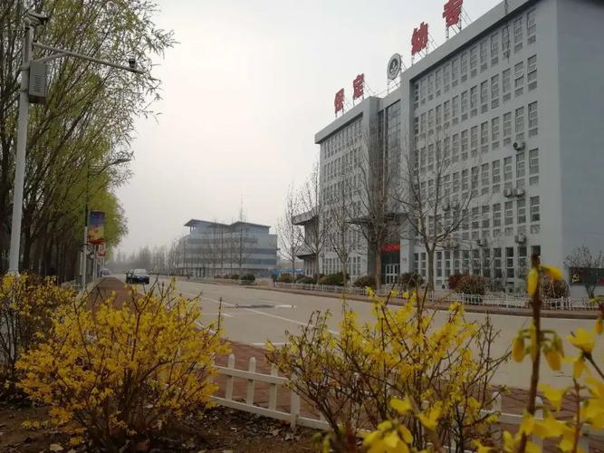 保定优质幼师学校有哪些？-图2