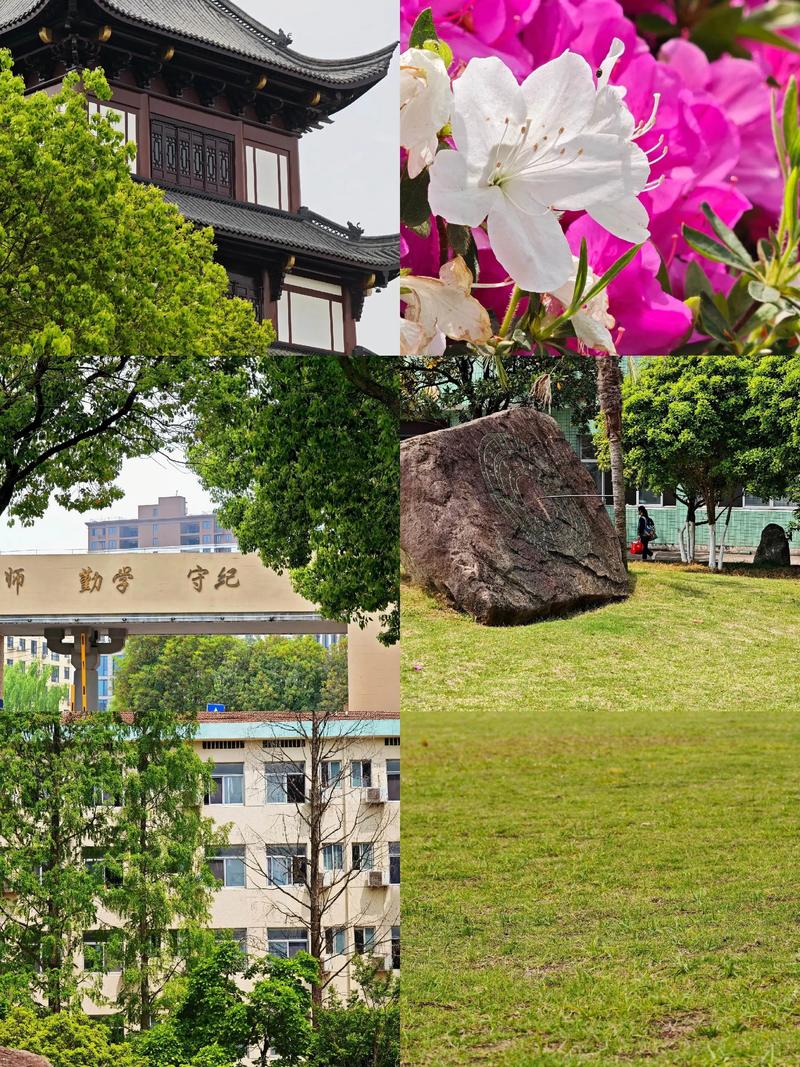 巍山高中有几所？-图1