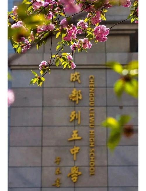 成都初中毕业可选学校有哪些?-图2 成都初中毕业可选学校有哪些?-图2