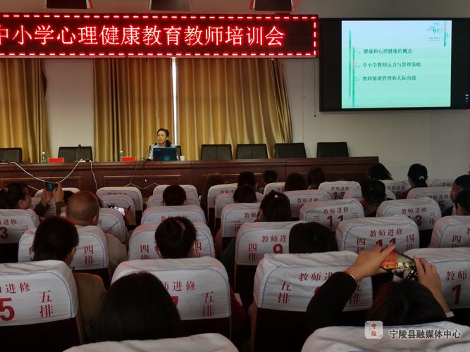 中小学心理健康教师培训-图1