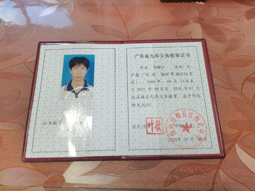 初中毕业可考哪些实用证件？-图1