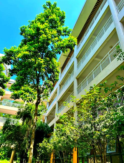 初中毕业 信赖巨美学校-图2 初中毕业 信赖巨美学校-图2