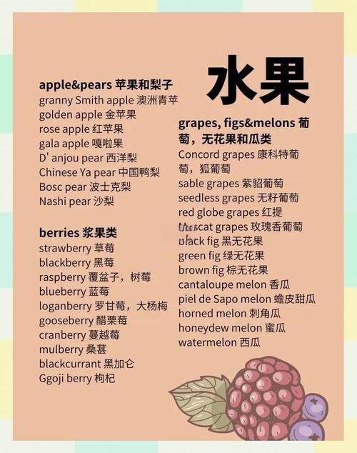 幼师英语教育究竟学哪些核心内容？-图3