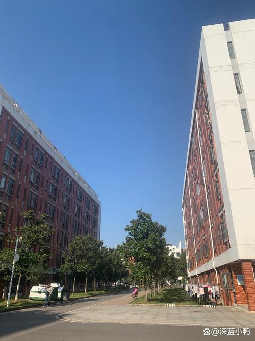 武汉幼师学校有哪些?优质选择有哪些?-图2 武汉幼师学校有哪些?优质选择有哪些?-图2