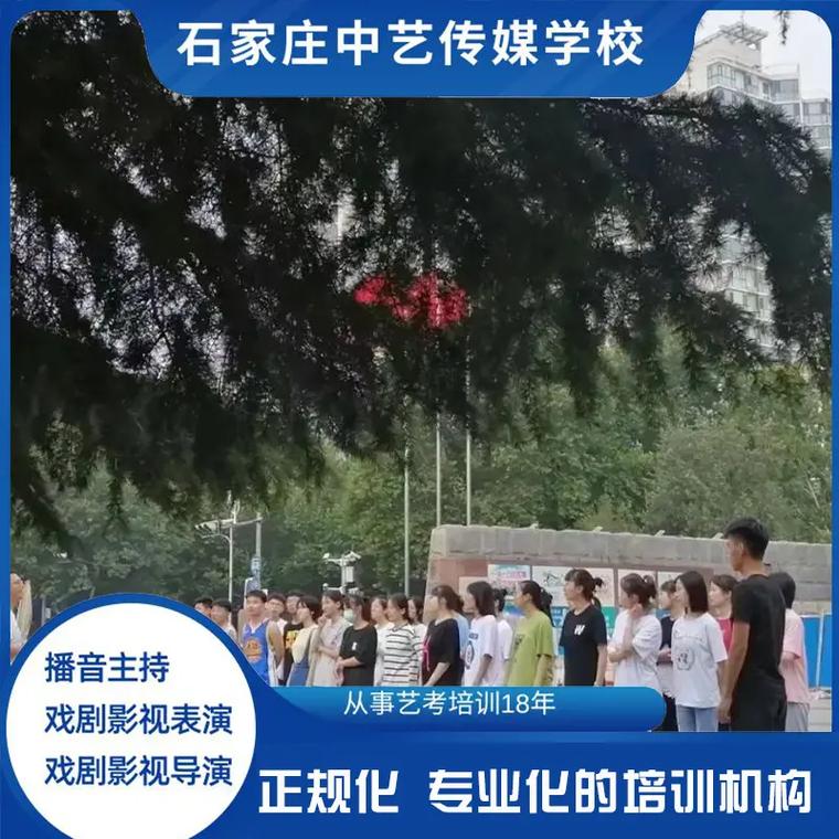 石家庄高中传媒艺术班-图1 石家庄高中传媒艺术班-图1