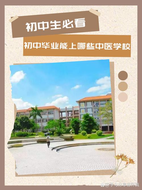 初中毕业不上高中，还有哪些学校可选？-图3