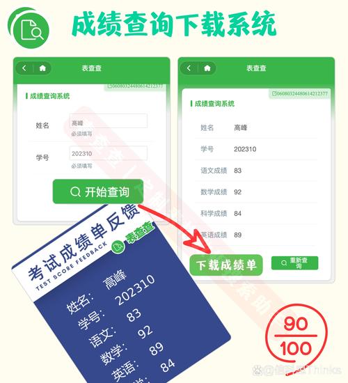 湛江小学升初中成绩怎么查？-图1