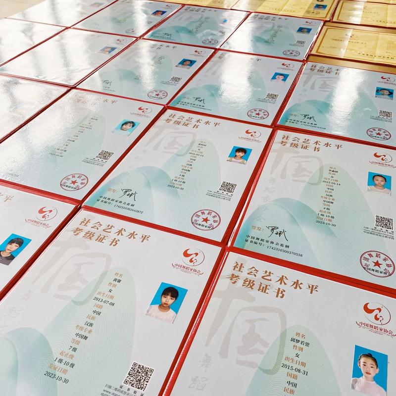 苏州考初中需要舞蹈证书-图1