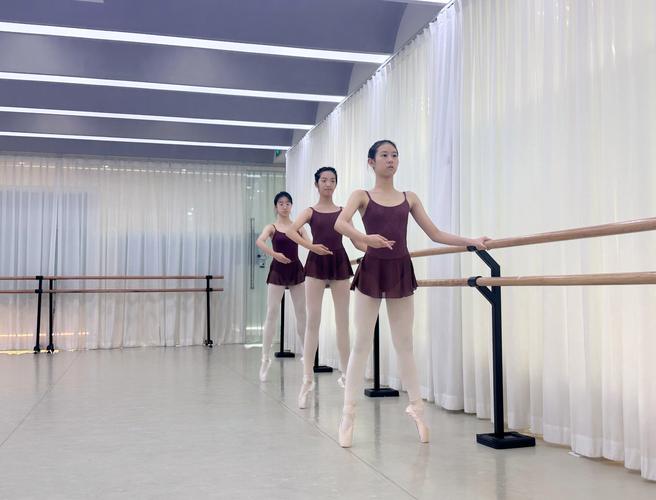 高中女子形体训练课程-图3