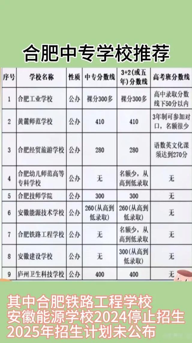 合肥幼师中专学校有哪些？-图2