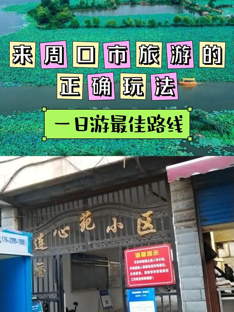 周口幼师那条路具体是哪条街？-图2