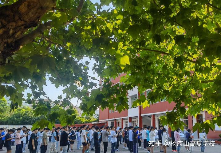 温州杨府山有哪些高中？-图3