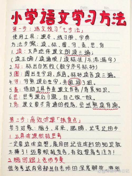 小学生学好语文，有哪些实用方法？-图2